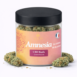 Fleurs CBD Amnesia OKO | Greenhouse Dordogne | 2G 5G 10G