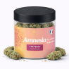 Fleurs CBD Amnesia OKO | Greenhouse Dordogne | 2G 5G 10G