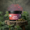 Fleurs CBD Jack Herer OKO | Greenhouse Dordogne | 2G 5G 10G