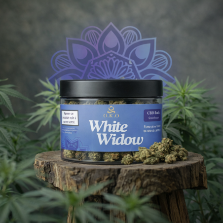 Fleurs CBD White Widow OKO | Greenhouse Dordogne | 2G 5G 10G