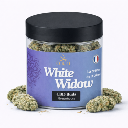 Fleurs CBD White Widow OKO | Greenhouse Dordogne | 2G 5G 10G