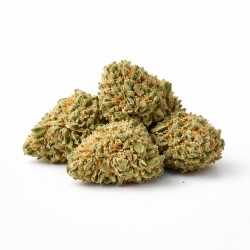 Fleurs CBD White Widow OKO VRAC